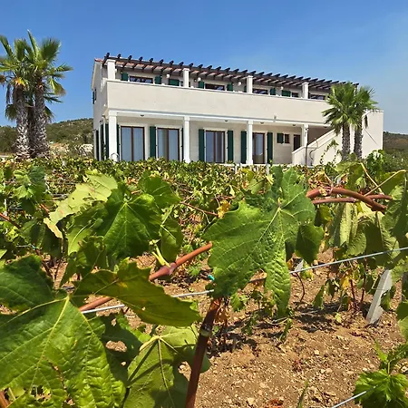 Stone Smokvica With Vineyard, Swimming Pool, Jacuzzi, Gym And Panoramic Sea Views *
