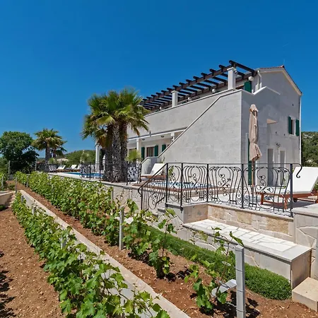 Stone Smokvica With Vineyard, Swimming Pool, Jacuzzi, Gym And Panoramic Sea Views