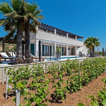 Villa Stone Smokvica With Vineyard, Swimming Pool, Jacuzzi, Gym And Panoramic Sea Views