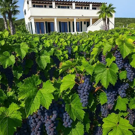 Luxury Stone Smokvica, Heated Pool, Sauna, Jacuzzi, Sea View *